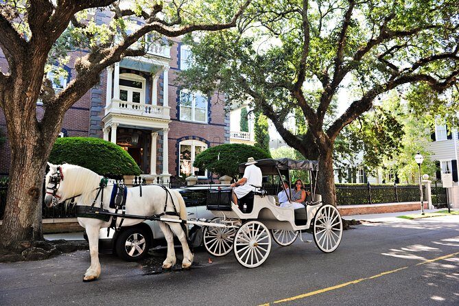 Private Daytime Horse-Drawn Carriage Tour of Charleston - Who Should Consider This Tour?