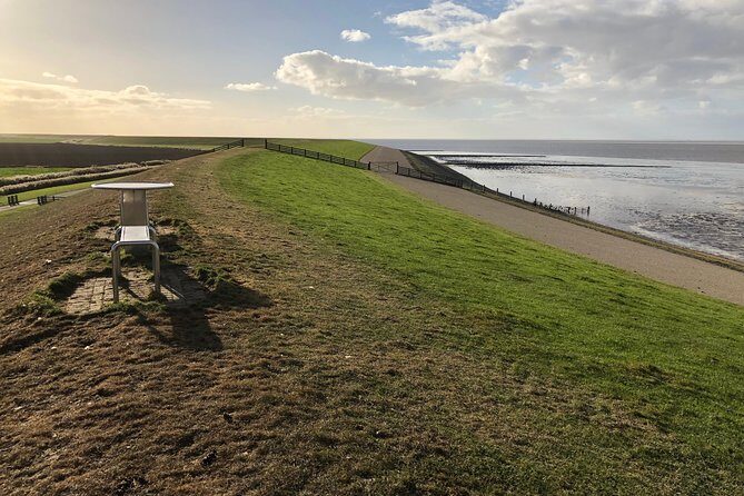 Private daytour from Amsterdam into the Countryside - What to Expect: A Typical Day