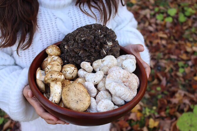 Private Daytrip for Truffle Mushroom Foraging and Wine Tasting - Discover the Art of Truffle Foraging and Wine Tasting Near Athens