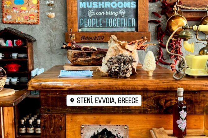 Private Daytrip for Truffle Mushroom Foraging and Wine Tasting - Key Points