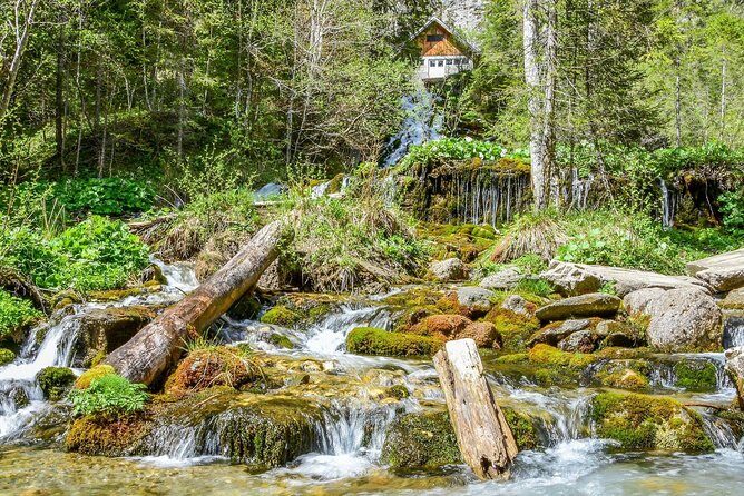 Private Daytrip Hike to Bucegi Mountains - Key Points
