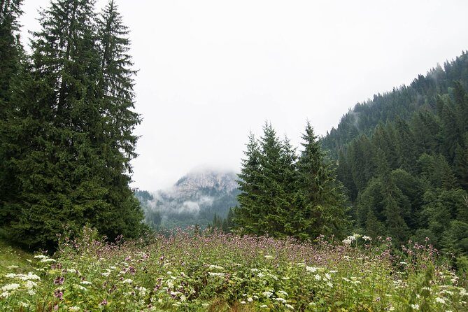Private Daytrip Hike to Bucegi Mountains - Who Should Consider This Tour?