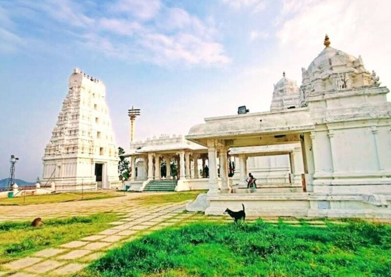 Private Daytrip to Ramoji Film City and Sanghi Temple by Car - Who Should Consider This Tour?