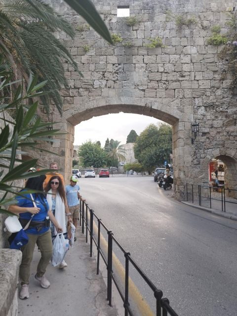 Private Daytrip to Rhodes,Lindos and Seven Springs - Who Should Consider This Tour?