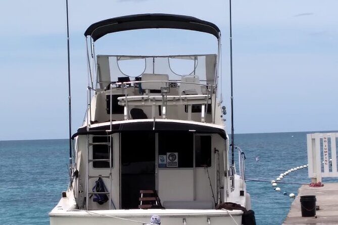 Private Deep Sea Fishing in Montego Bay - Key Points