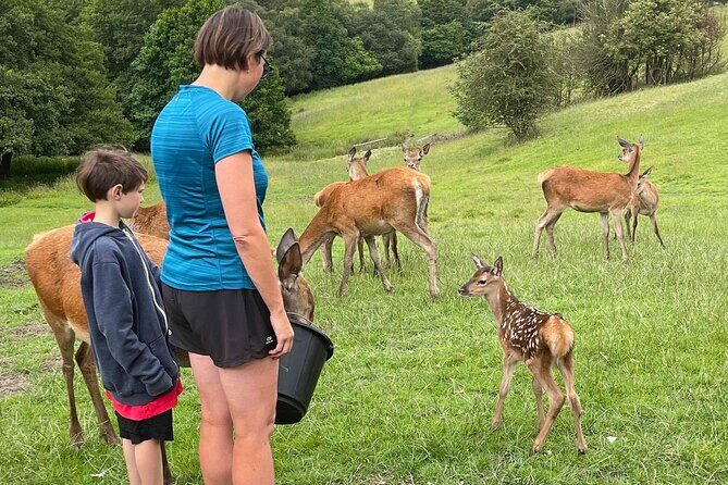 Private Deer Park Tour and Day Out in Leek - Why This Tour Stands Out
