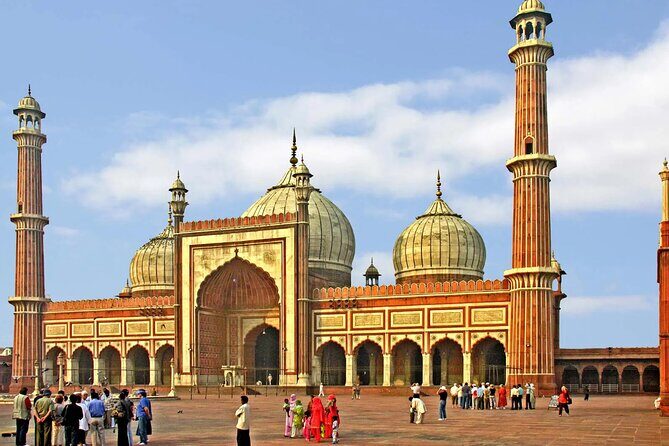 Private Delhi Customized Full Day Tour - What Makes This Tour Stand Out?