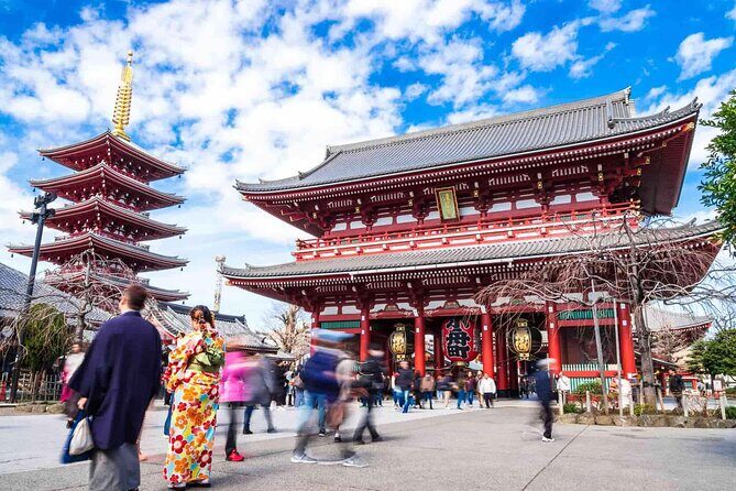 Private Departure Tour from Hotel/Airport/Cruise (5-6 Hrs) - Explore Tokyo Comfortably and Conveniently on a Private Departure Tour