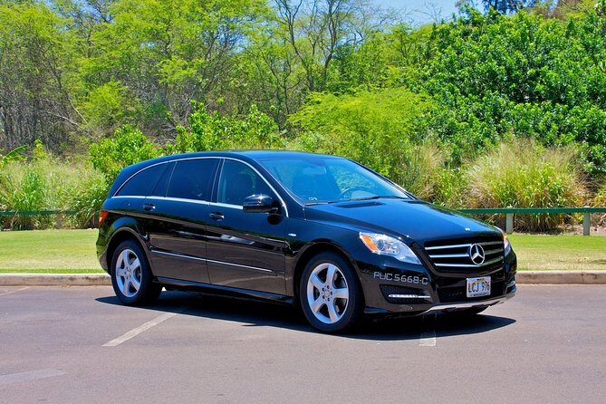 Private Departure Transfer: Big Island Hotels to Kona International Airport - Private Departure Transfer: Big Island Hotels to Kona International Airport