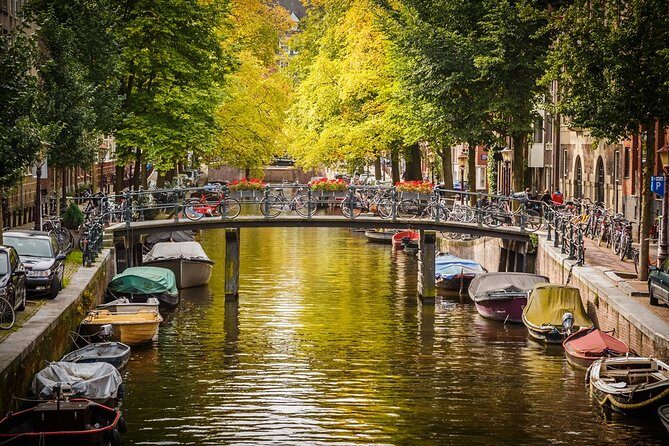 Private departure transfer from Amsterdam to Schiphol Airport (AMS) - Why This Transfer Offers Great Value