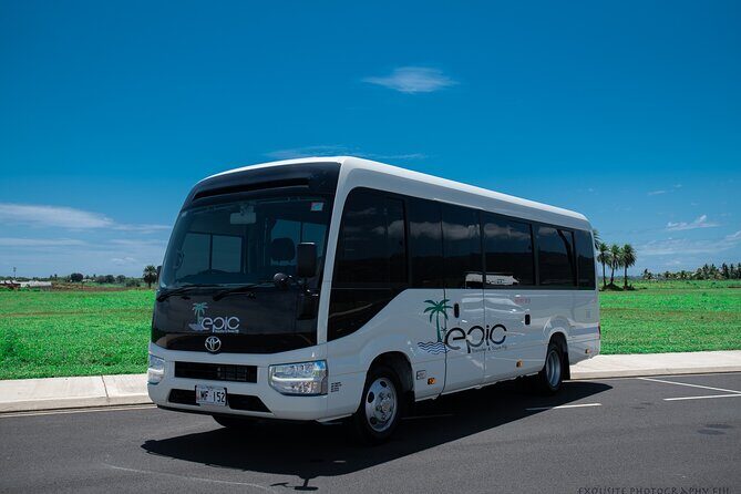 Private Departure Transfer- Port Denarau,Terraces & Palms Apartm to Nadi Airport - In-Depth Review of the Denarau to Nadi Airport Transfer