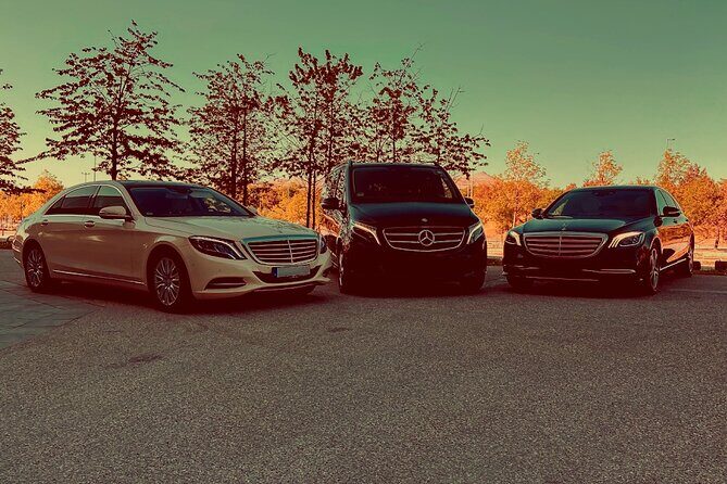 Private Departure Transfer: Schiphol Airport Amsterdam - Private Departure Transfer: Schiphol Airport Amsterdam