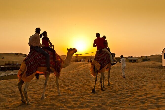 Private Desert Safari Tour in Dubai - An In-Depth Look at the Dubai Desert Safari Experience