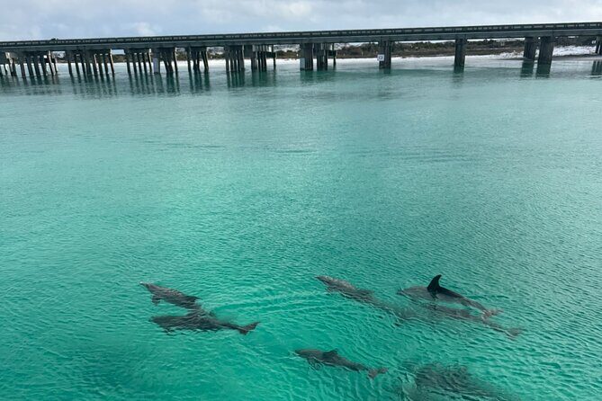 Private Destin Harbor Boat Tour Adventure - The Itinerary in Detail