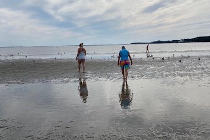 Private Disappearing Island Dolphin Tour - In-Depth Look at the Tour Experience