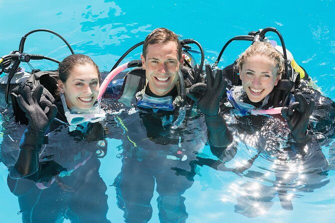 Private Discover Scuba Diving - What Makes This Discover Scuba Tour Stand Out?