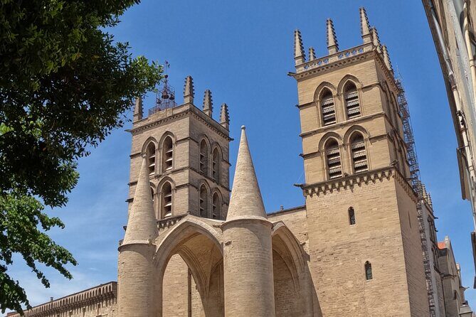 Private Discovery of Montpellier by Bike-Taxi - The Sum Up