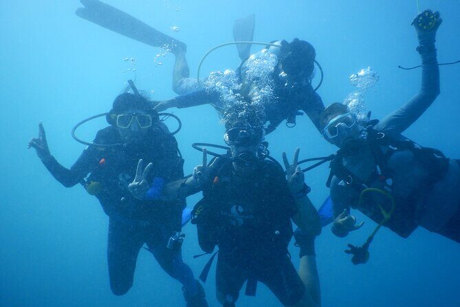 Private Discovery Scuba Diving with Sea Turtles - Key Points