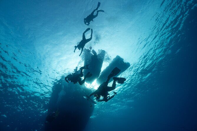 Private Discovery Scuba Diving with Sea Turtles - Who Should Consider This Tour?