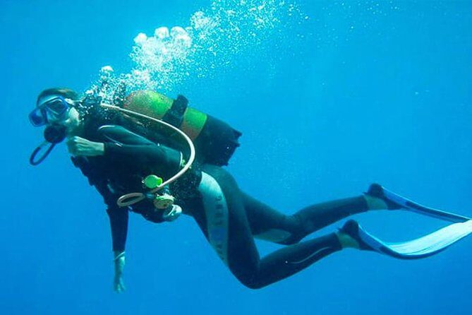 Private Dive Master 1 Tank Dive & Transportation - The Sum Up