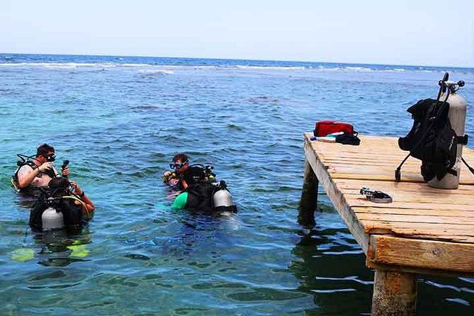 Private Dive Master 1 Tank Dive & Transportation - FAQs