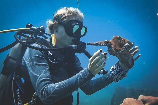 Private Dive + videographer/Photographer (Certified divers only) - The Sum Up