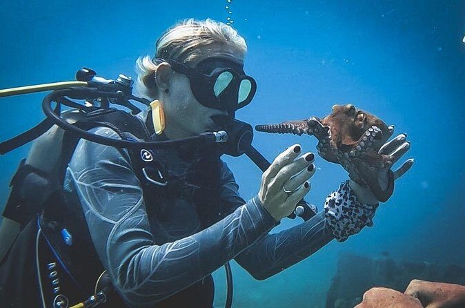 Private Dive + videographer/Photographer (Certified divers only) - FAQ