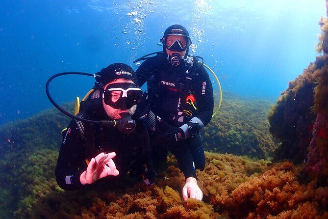 Private diving baptism in the Golf of Calvi - Private Diving Baptism in the Golf of Calvi: A Genuine Introduction to Underwater Exploration