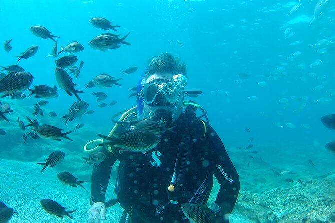 Private Diving Cyprus Experience Protaras and Ayia Napa & Turtles - Practice at Green Bay: Getting Comfortable