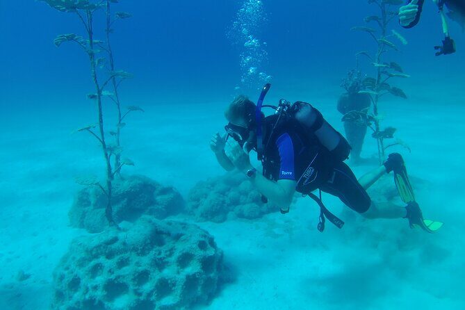 Private Diving Cyprus Experience Protaras and Ayia Napa & Turtles - A Mixed Range of Experiences