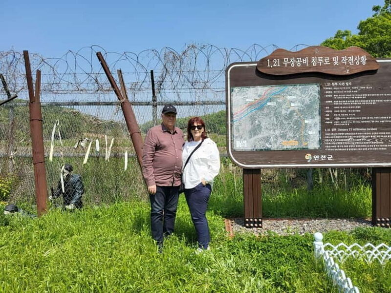 Private DMZ SPY Tour from Incheon Cruise Terminal - Dora Observatory: Gazing into North Korea