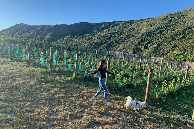 Private Dog Friendly Wine Tour with your Local Guide - Key Points
