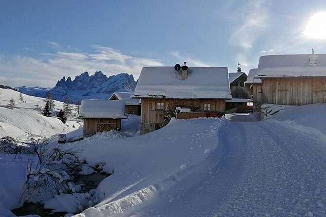 Private Dolomites Day Trip from Venice by Mercedes Class e Lux - In The Sum Up