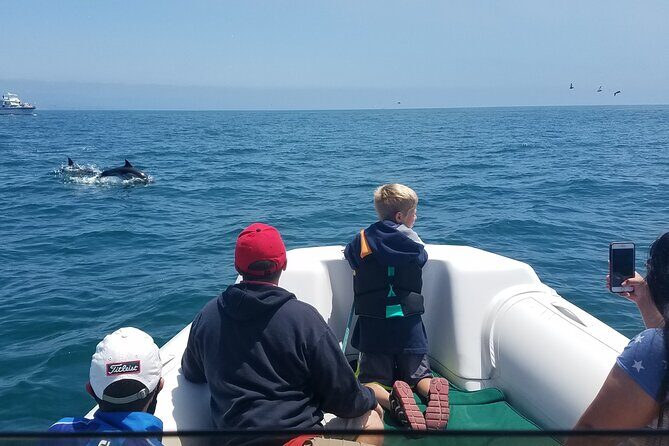 Private Dolphin and Whale Watching Tour in Newport Beach - An In-Depth Look at the Newport Beach Private Dolphin and Whale Watching Tour