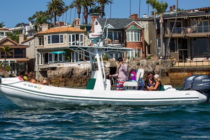 Private Dolphin and Whale Watching Tour in Newport Beach - The Sum Up
