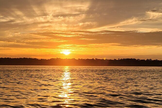 Private Dolphin Boat Tour in Hilton Head Island - The Experience: What to Expect on a Hilton Head Dolphin Tour