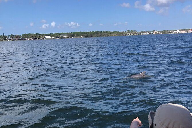 Private Dolphin Catamaran Sail In Cocoa Beach - Why This Tour Offers Real Value