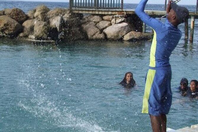 Private Dolphin Cove Adventure - FAQs