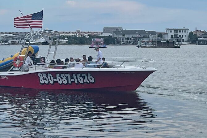 Private Dolphin Cruise - Who Should Consider This Tour?