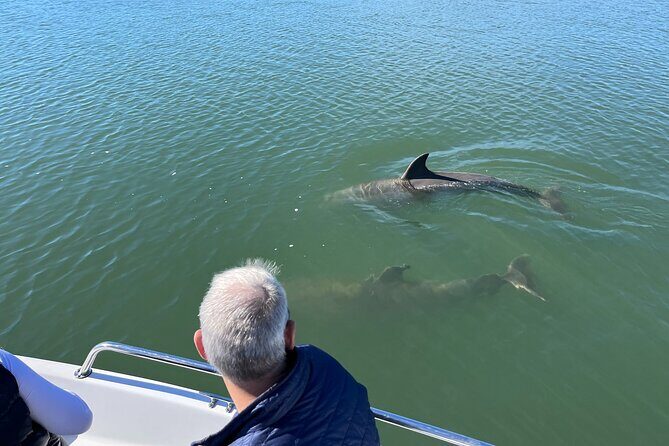 Private Dolphin, Lighthouse and Shelling Adventure (Folly Beach) - Discovering Folly Beach’s Natural Charm and History