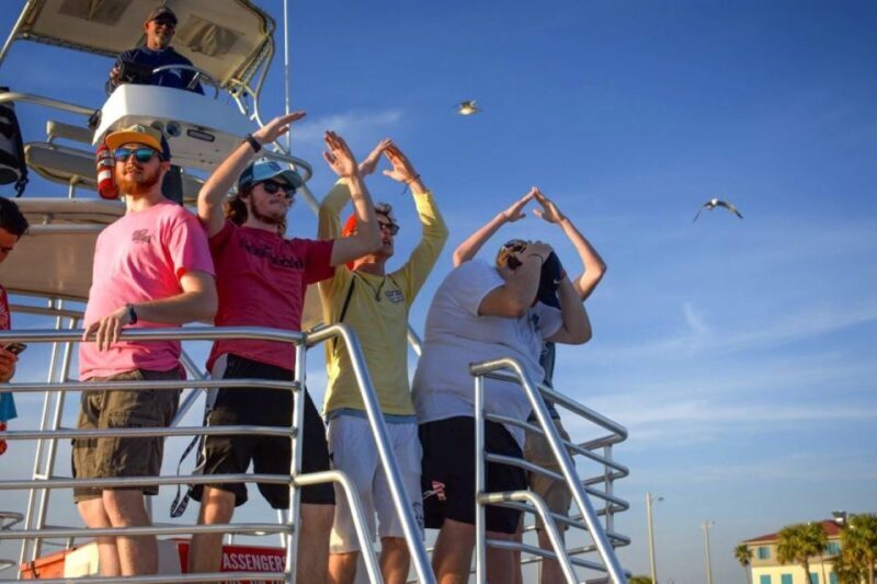 Private Dolphin Tour with Secluded Beach/Snorkel Stop - Practical Details: What’s Included and What’s Not