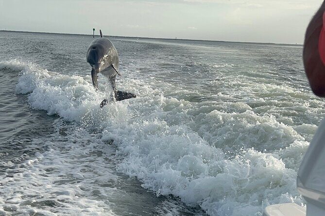 Private Dolphin Watching Beach Day Getaway - What to Expect During Your Day