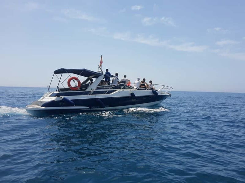 PRIVATE DOLPHIN WATCHING SUNSEEKER WITH DRINKS ON FUENGIROLA - Discover the Coastal Charm of Fuengirola on a Private Dolphin Watching Tour