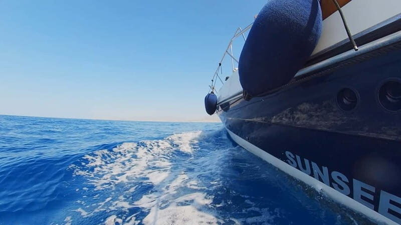PRIVATE DOLPHIN WATCHING SUNSEEKER WITH DRINKS ON FUENGIROLA - Key Points