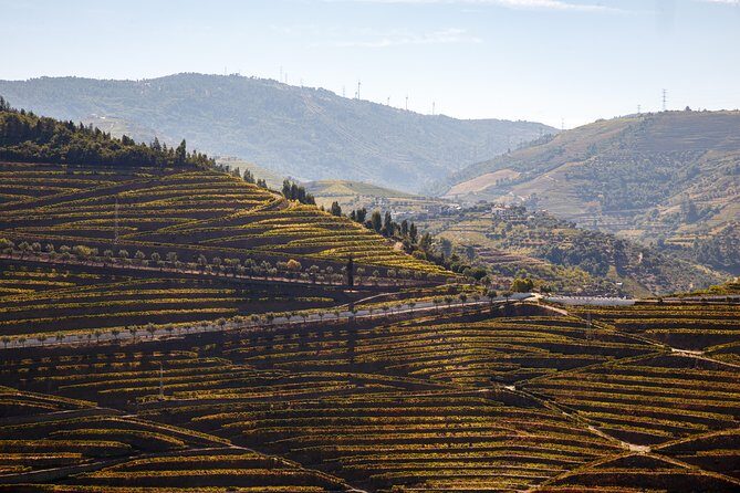 Private Douro 4x4 Adventure from Porto - Why This Tour Offers Value