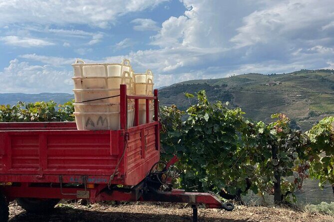 Private Douro 4x4 Adventure from Porto - Frequently Asked Questions