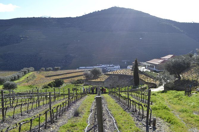Private Douro 4x4 Adventure from Porto - Final Thoughts