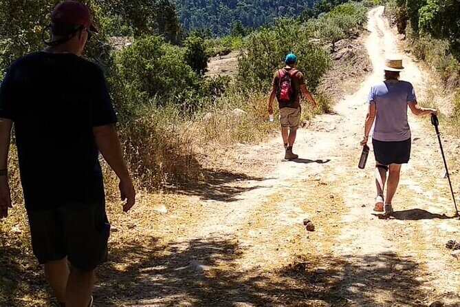 Private Douro and Porto 4x4 Tour with Wine Tasting and Boat Trip - The Sum Up