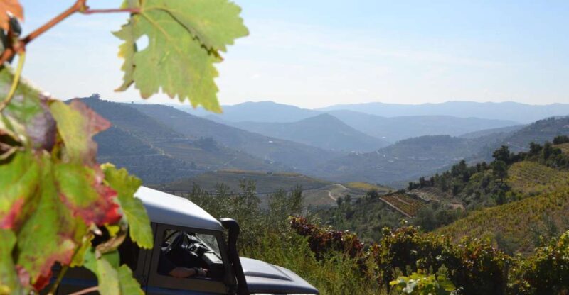 Private Douro Valley 4WD Tour with Wine Tasting and Picnic - Key Points