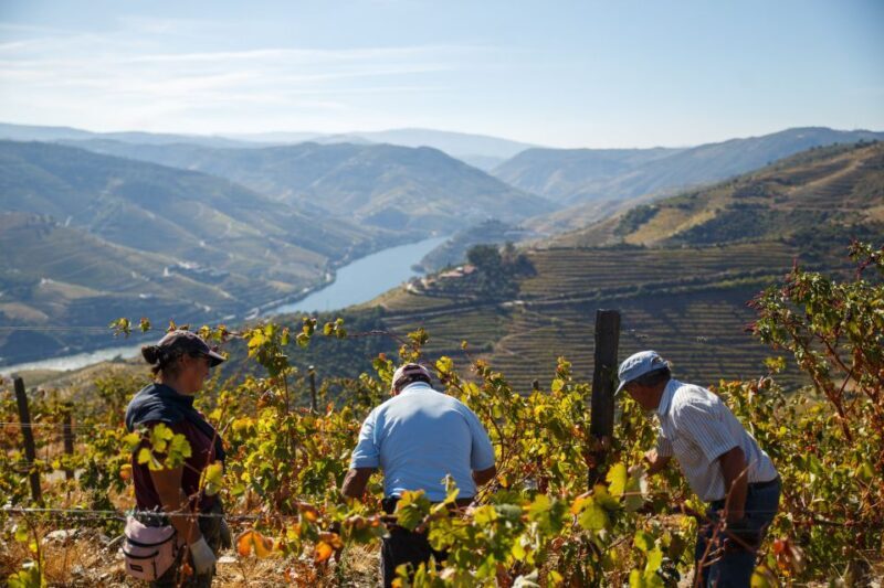 Private Douro Valley 4WD Tour with Wine Tasting and Picnic - Who Would Love This Tour?